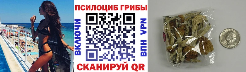 Псилоцибиновые грибы Psilocybe  Электросталь 