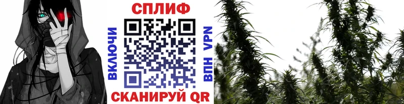 даркнет сайт  Электросталь  Конопля марихуана 